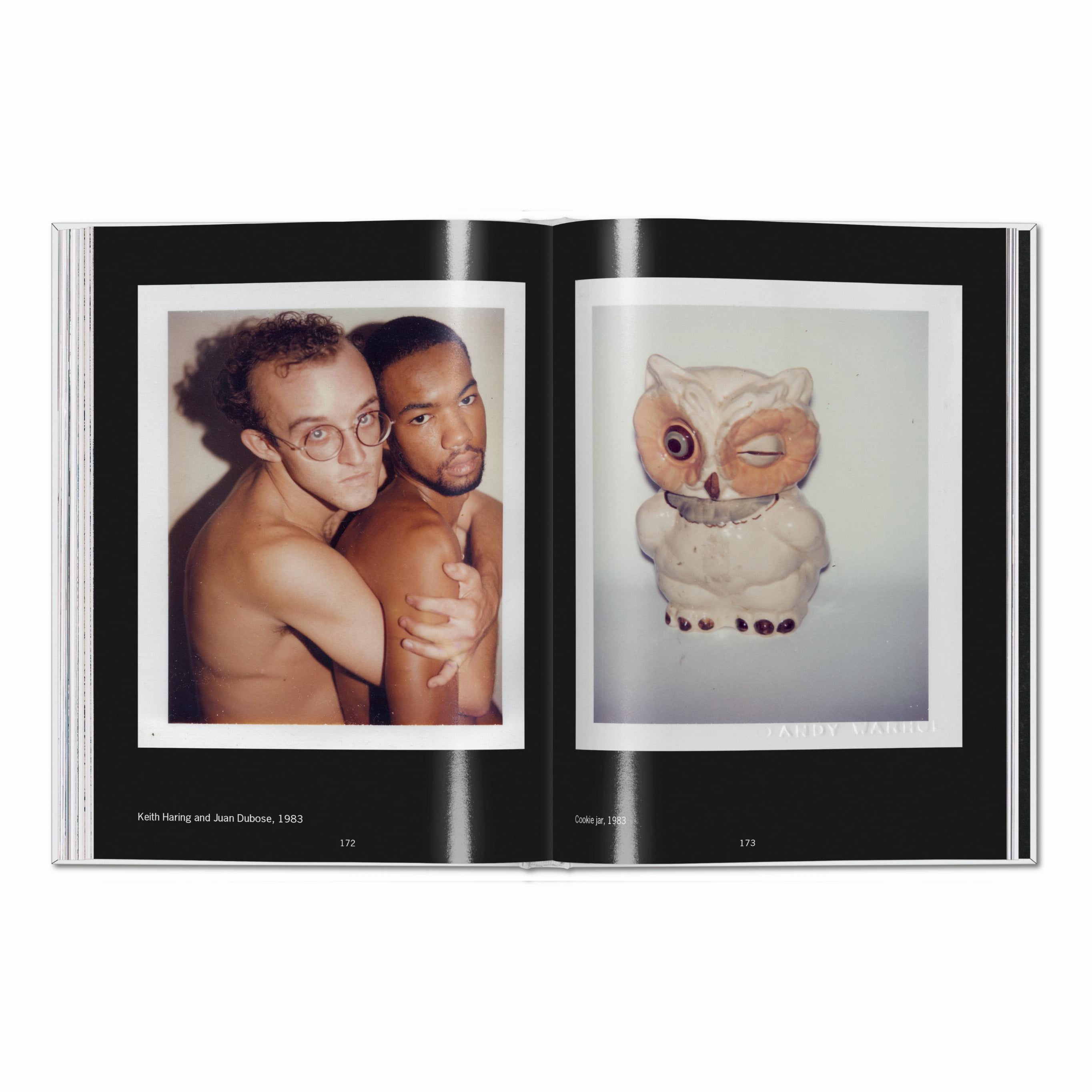 Andy Warhol. Polaroids 1958–1987 - Plastic Books