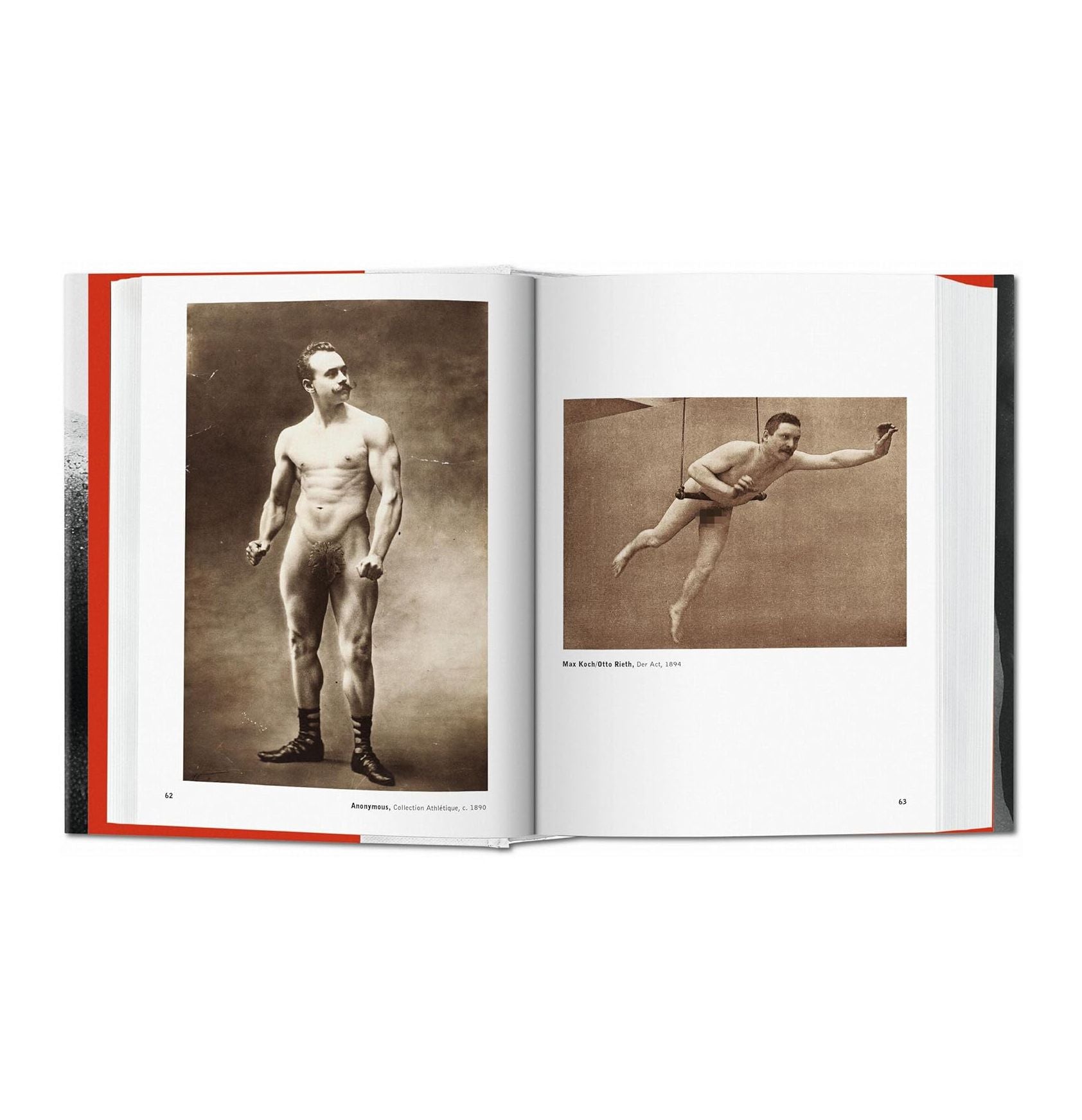 The Male Nude - Plastic Books