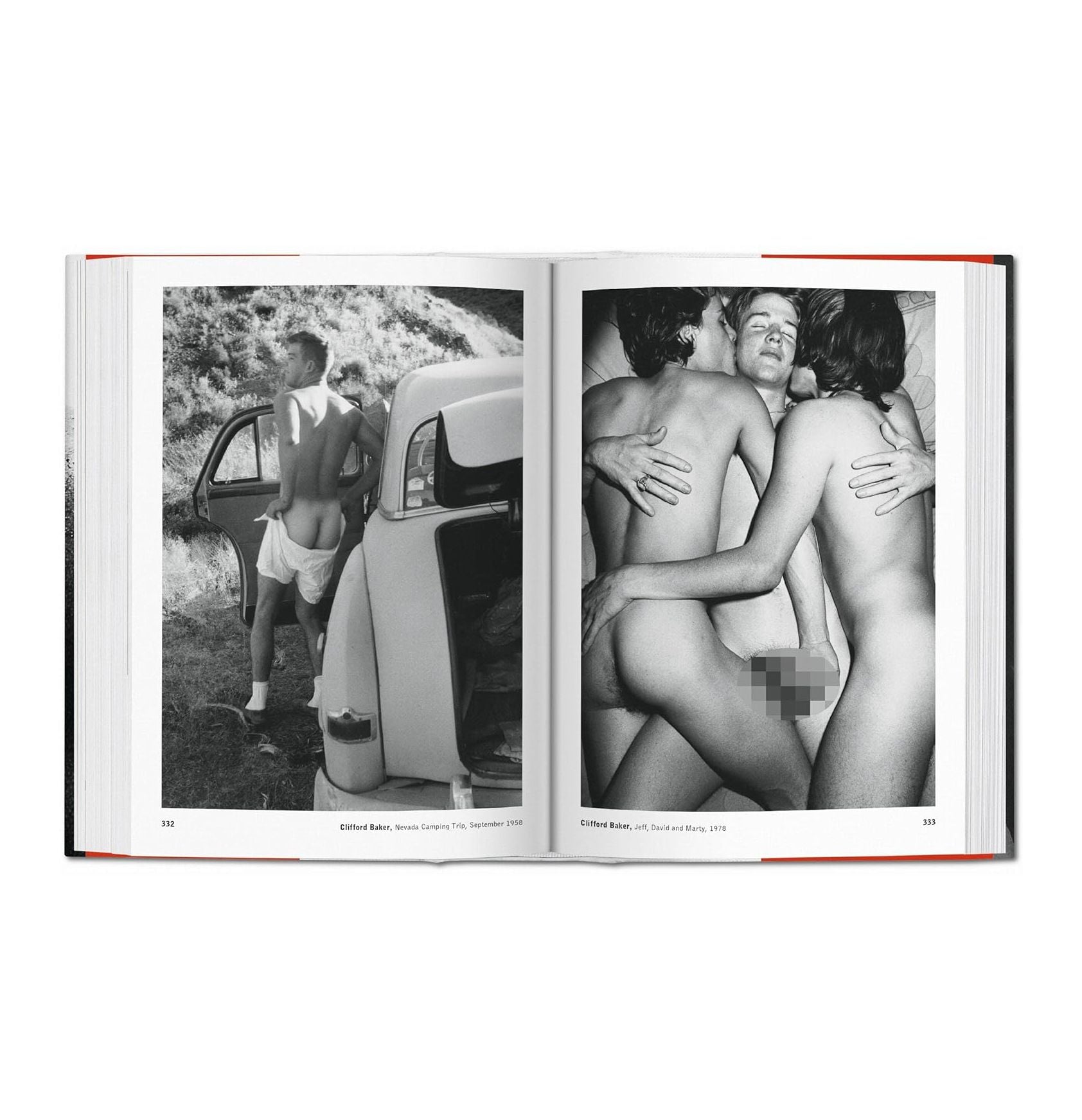 The Male Nude - Plastic Books