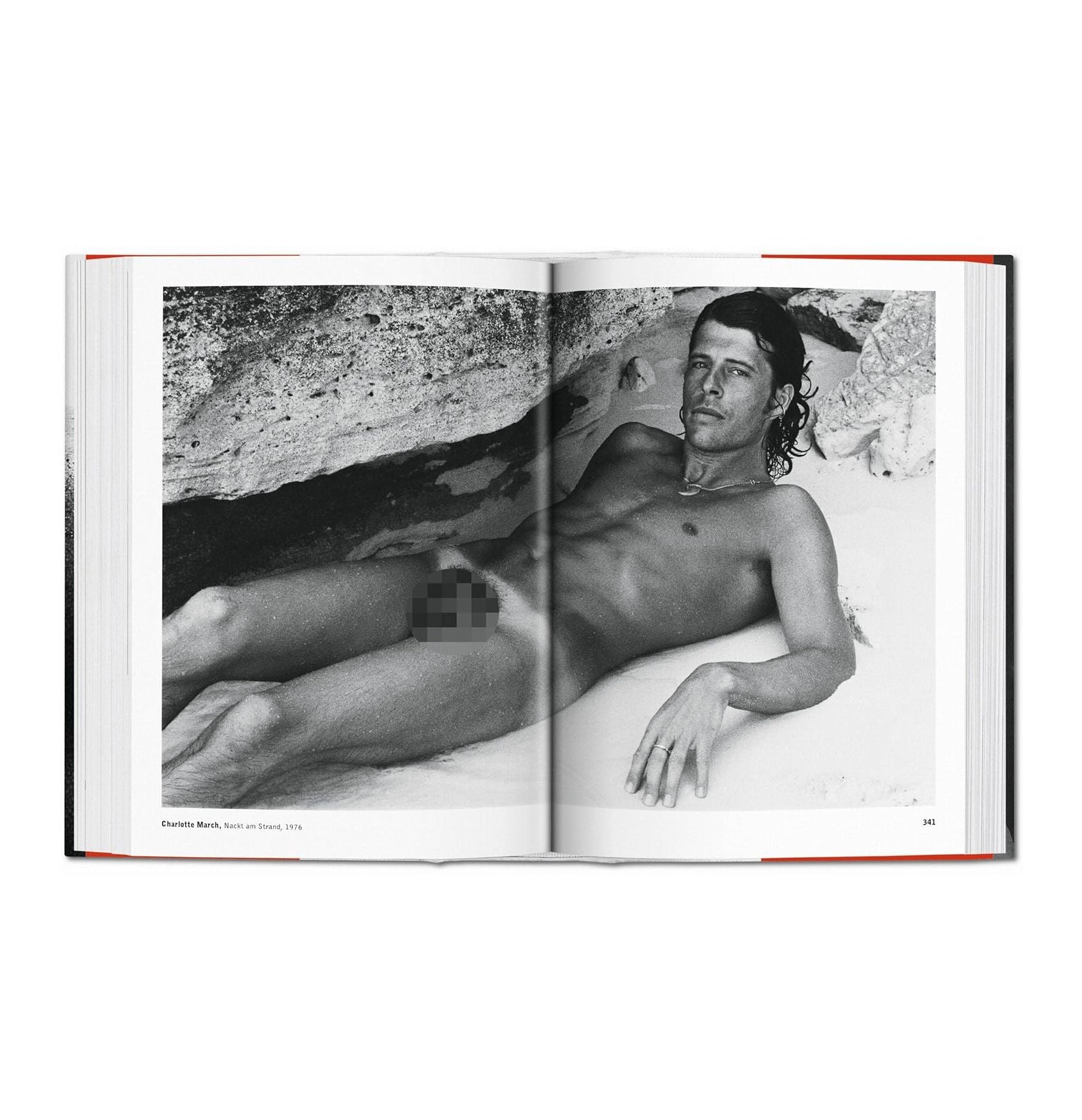 The Male Nude - Plastic Books