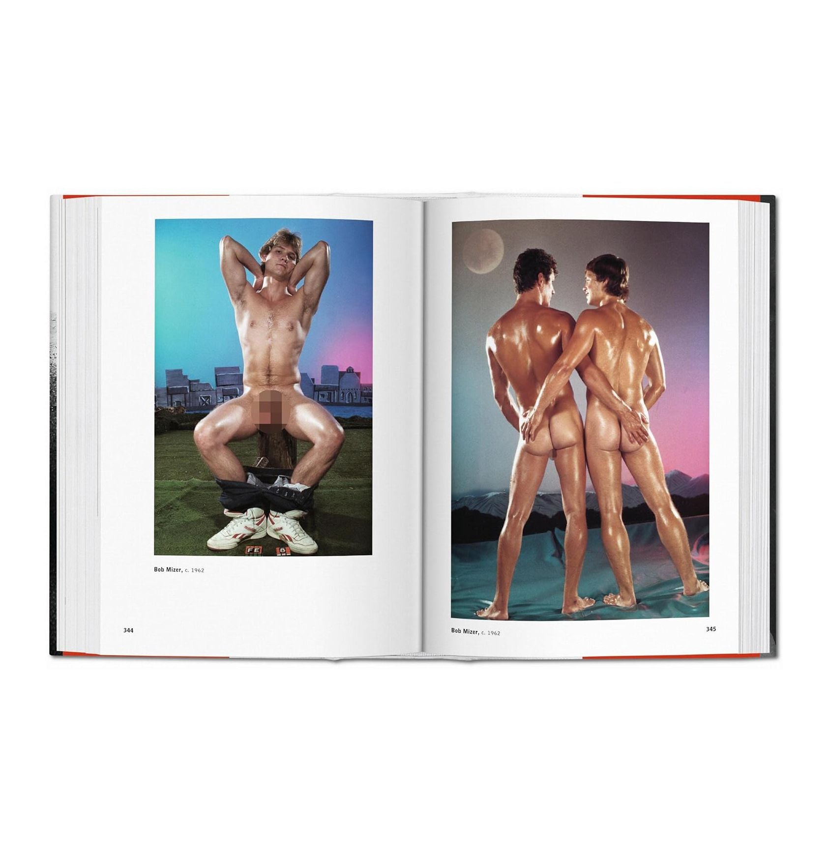 The Male Nude - Plastic Books