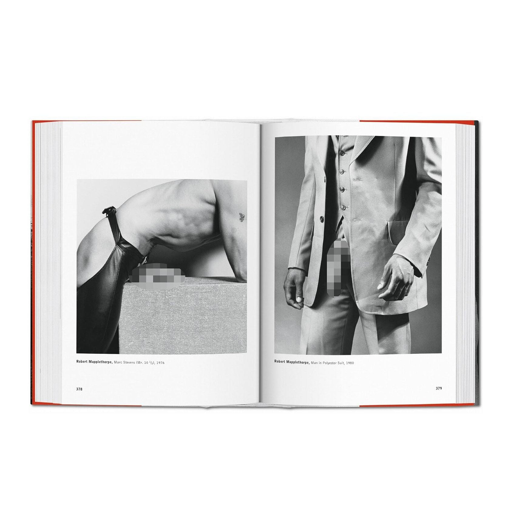 The Male Nude - Plastic Books