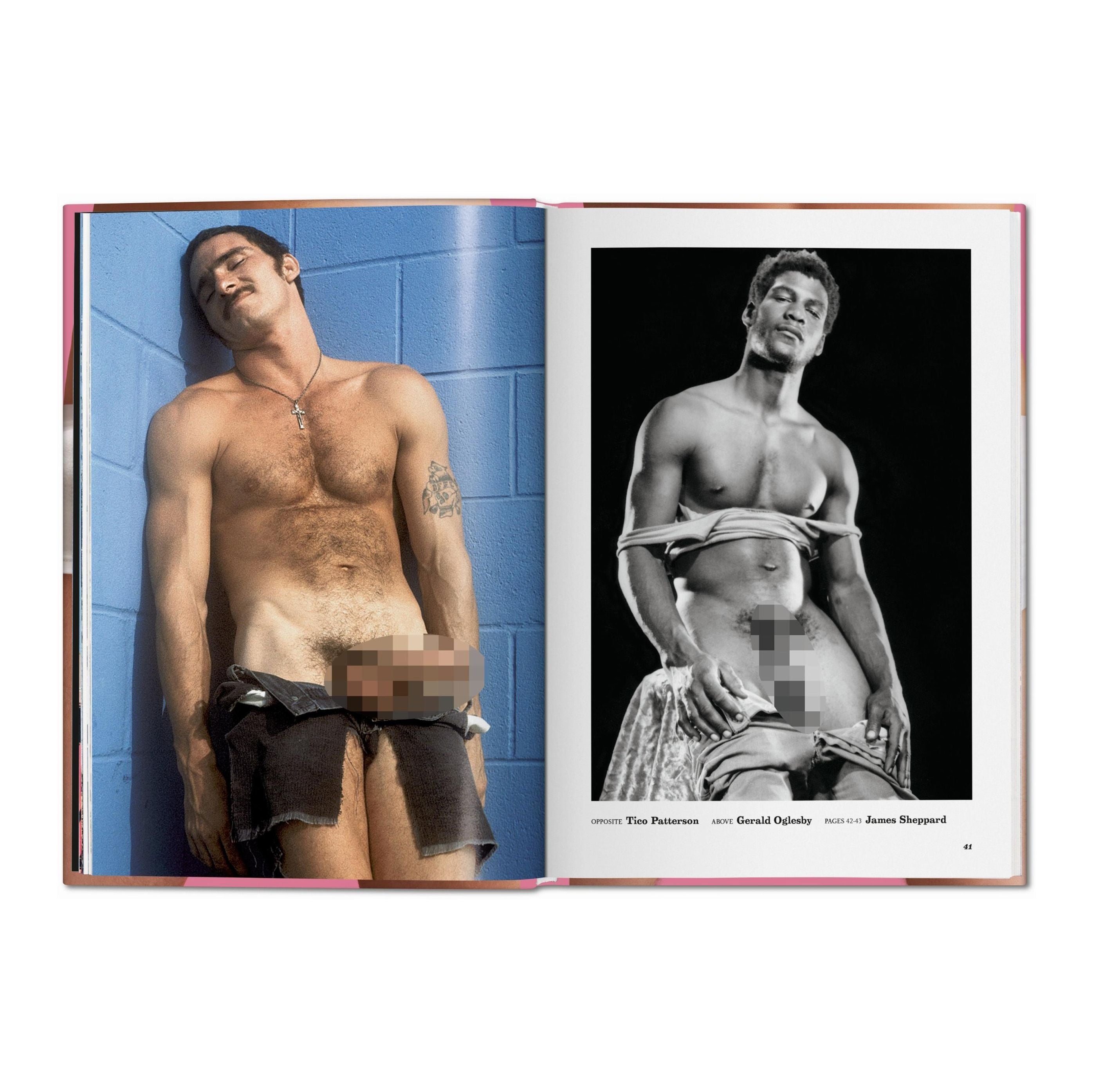 The Little Big Penis Book - Plastic Books