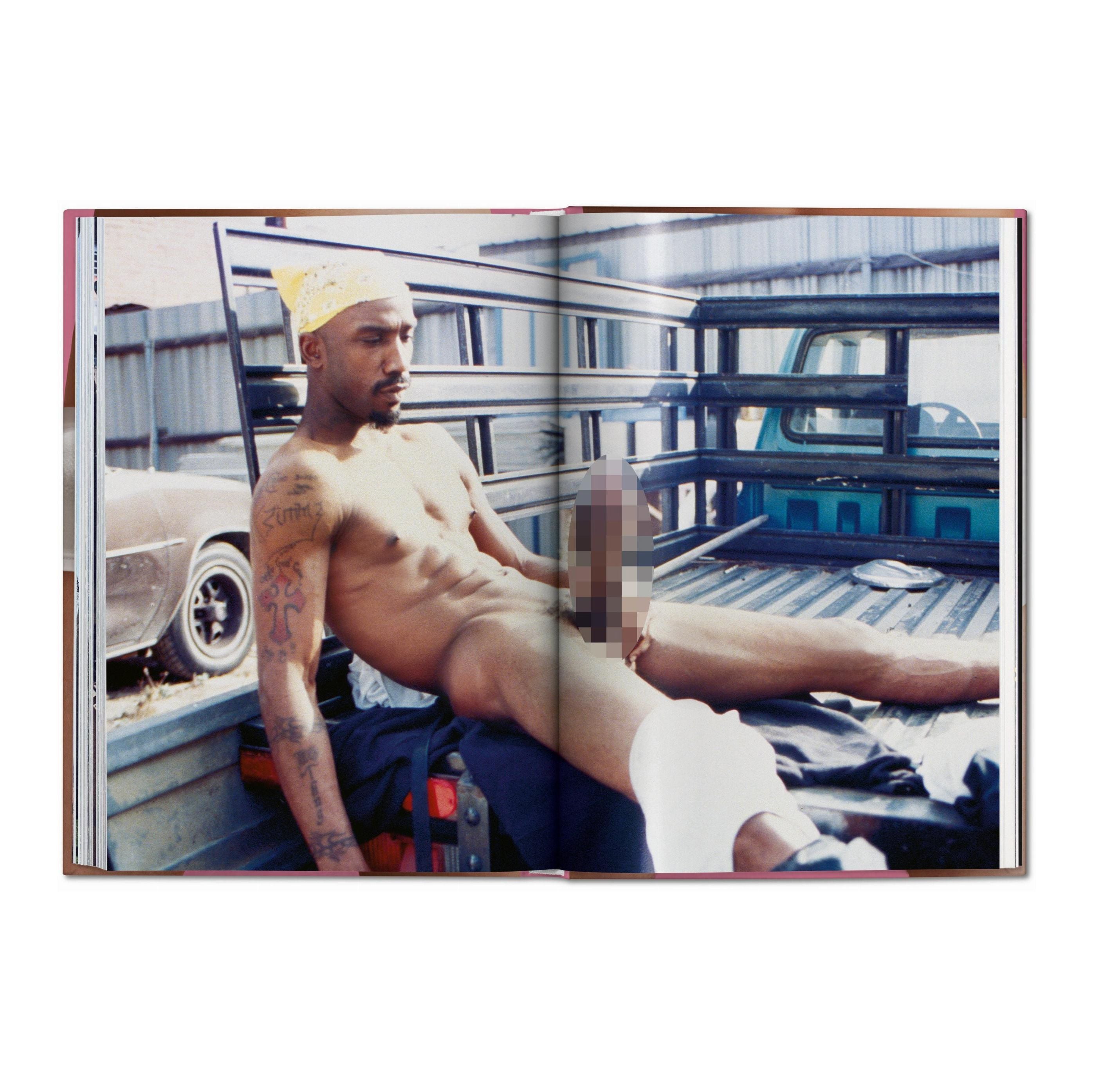 The Little Big Penis Book - Plastic Books