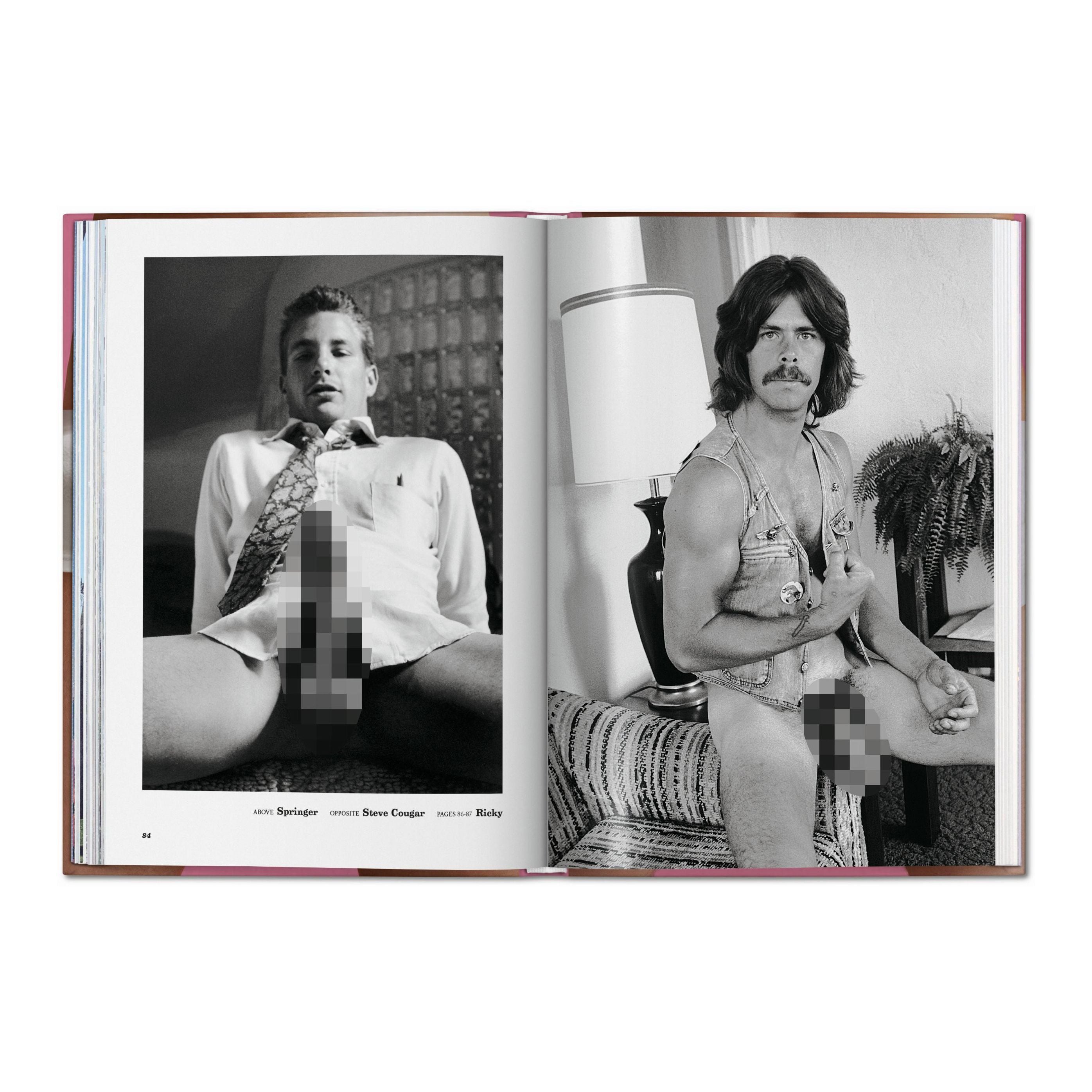The Little Big Penis Book - Plastic Books