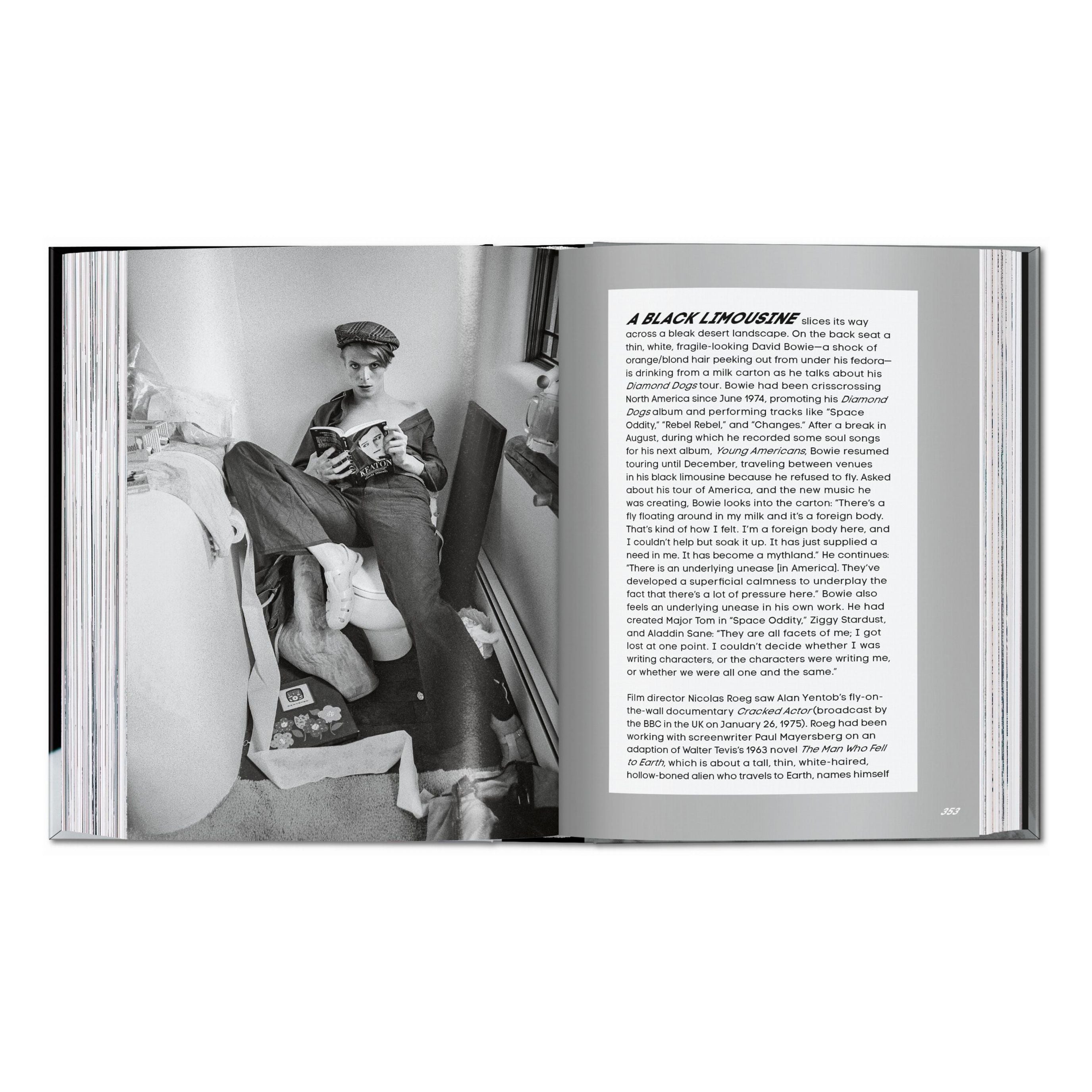 DAVID BOWIE. The Man Who Fell to Earth - Plastic Books