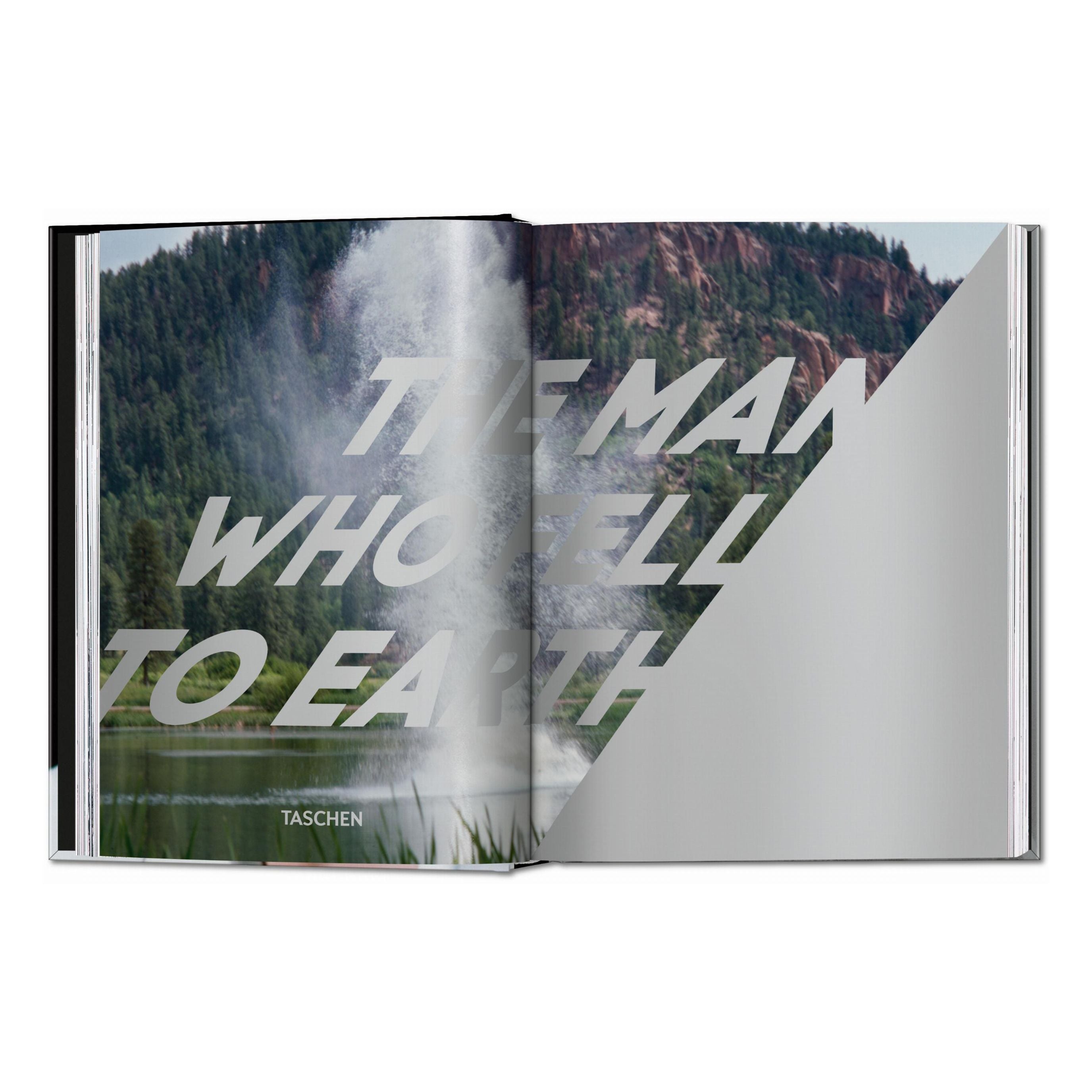 DAVID BOWIE. The Man Who Fell to Earth - Plastic Books
