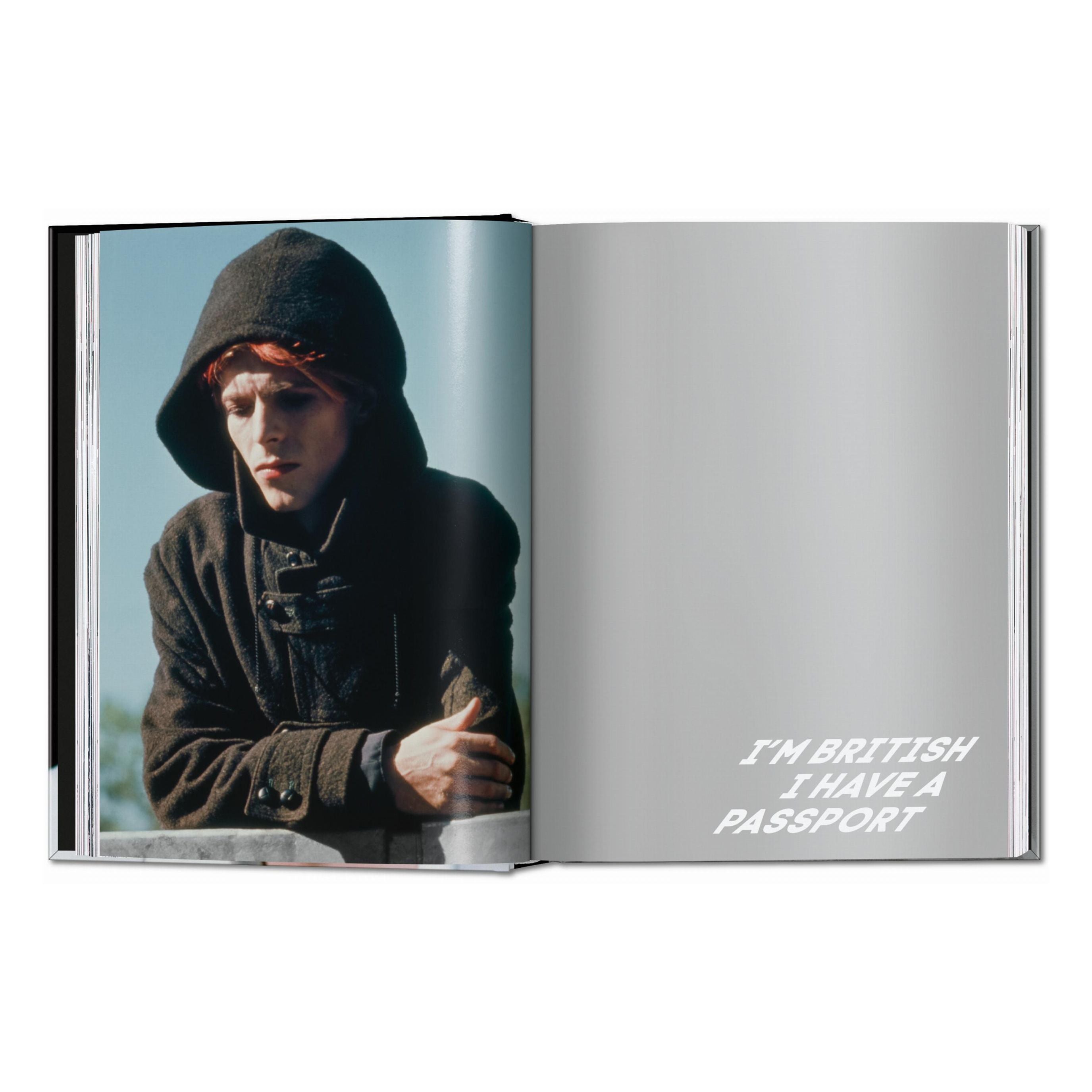 DAVID BOWIE. The Man Who Fell to Earth - Plastic Books
