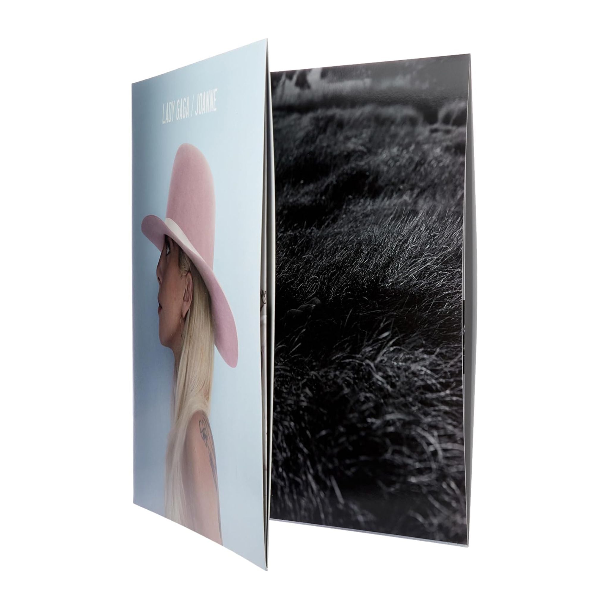 Lady Gaga – Joanne (Vinilo Doble Edición Deluxe) - Plastic Books