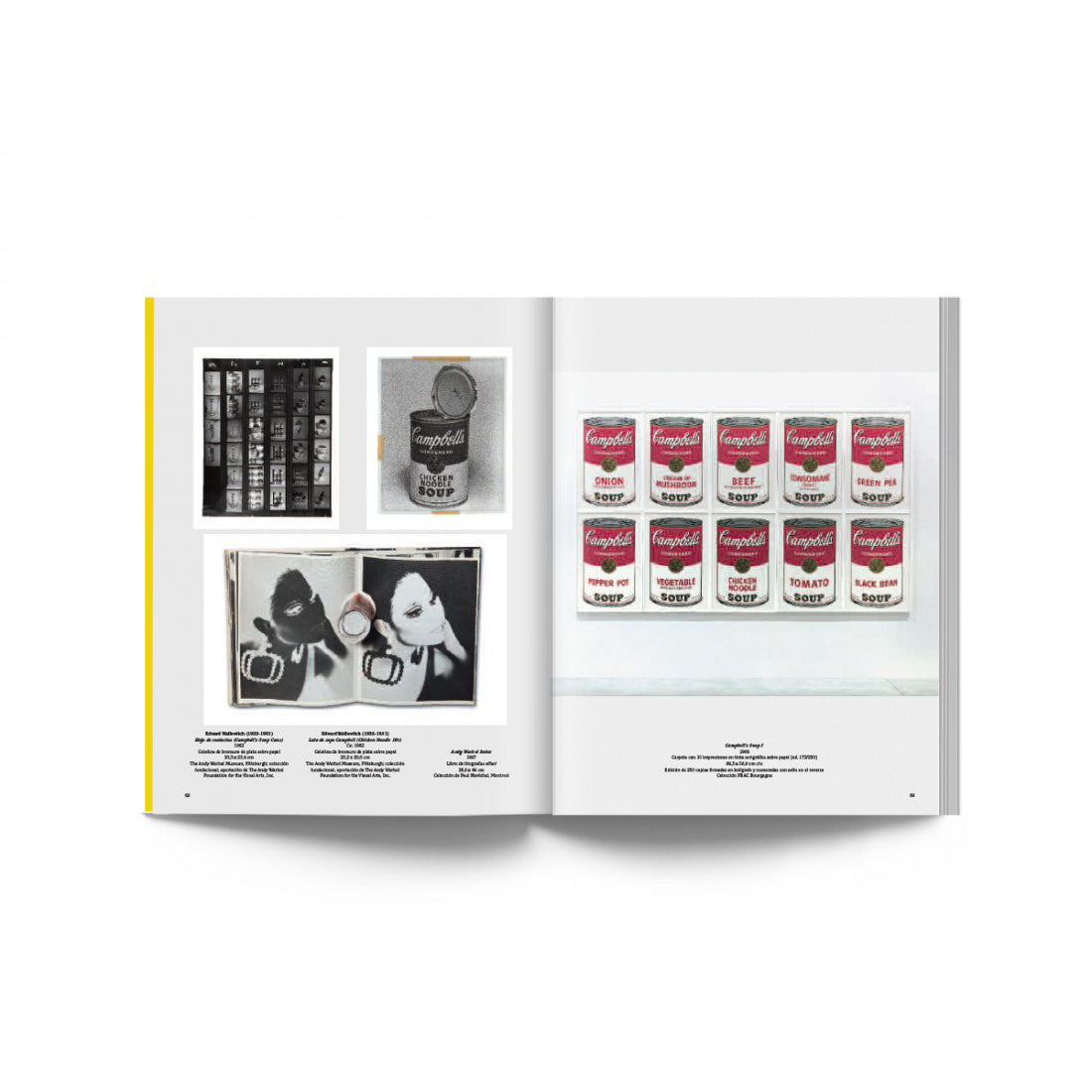 El arte mecánico – Andy Warhol Plastic Books