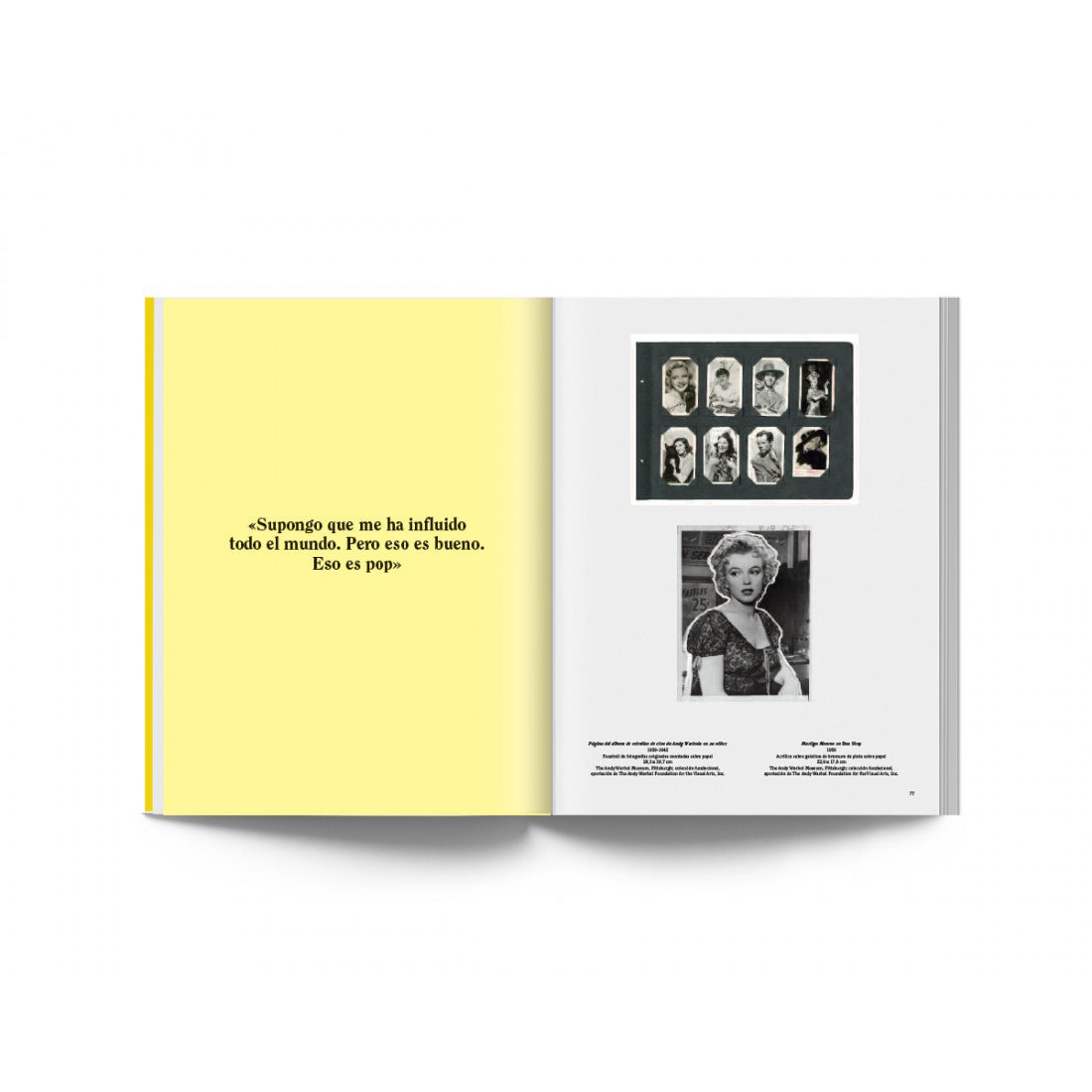 El arte mecánico – Andy Warhol Plastic Books