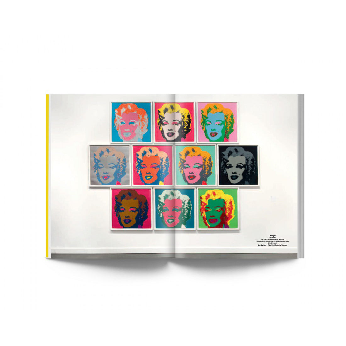 El arte mecánico – Andy Warhol Plastic Books