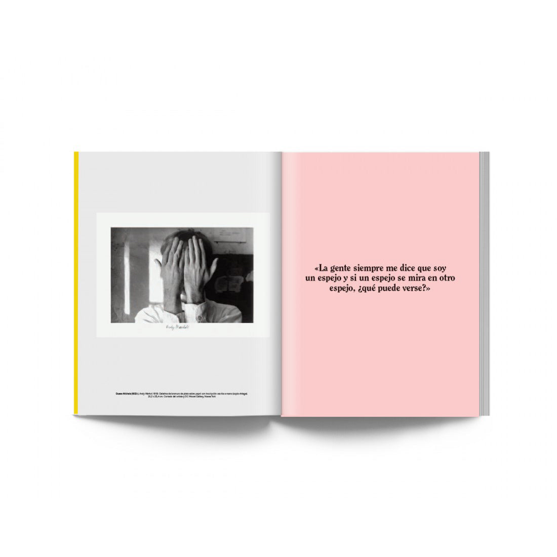 El arte mecánico – Andy Warhol Plastic Books