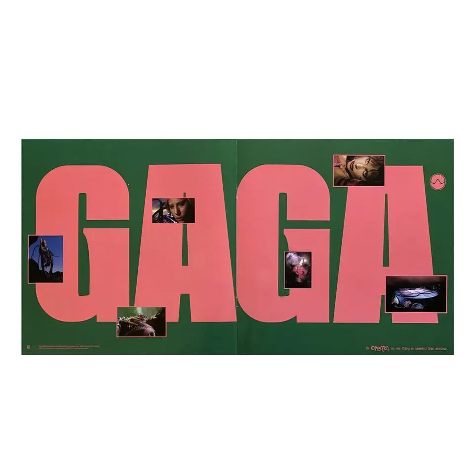 Lady Gaga Chromatica LP vinyl special edition with pink text and various images.