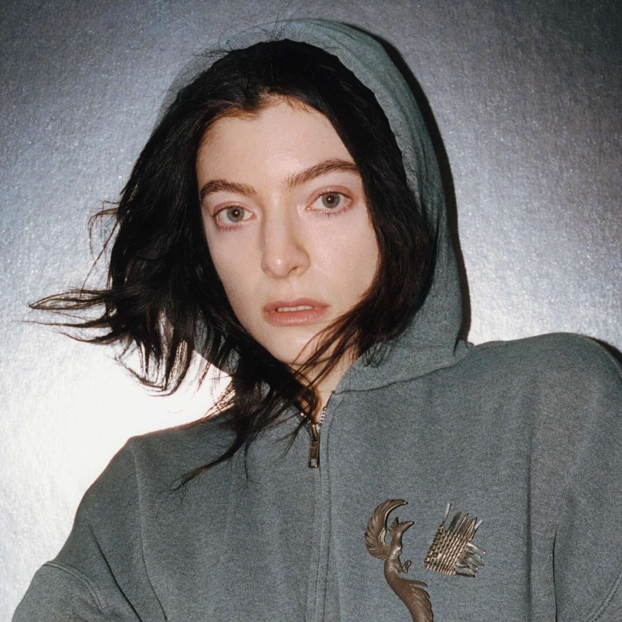 Translation missing: es.Lorde - Plastic Books: Lorde