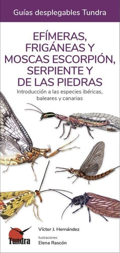 Efímeras, frigáneas y moscas escropión, serpiente y de las piedras introducción a las especies ibéricas, baleares y canarias