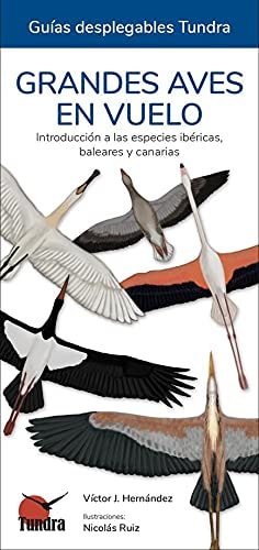 Grandes aves en vuelo introducción a las especies ibéricas, baleares y canarias