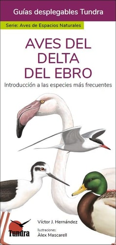 Aves del Delta del Ebro introducción a las especies más frecuentes