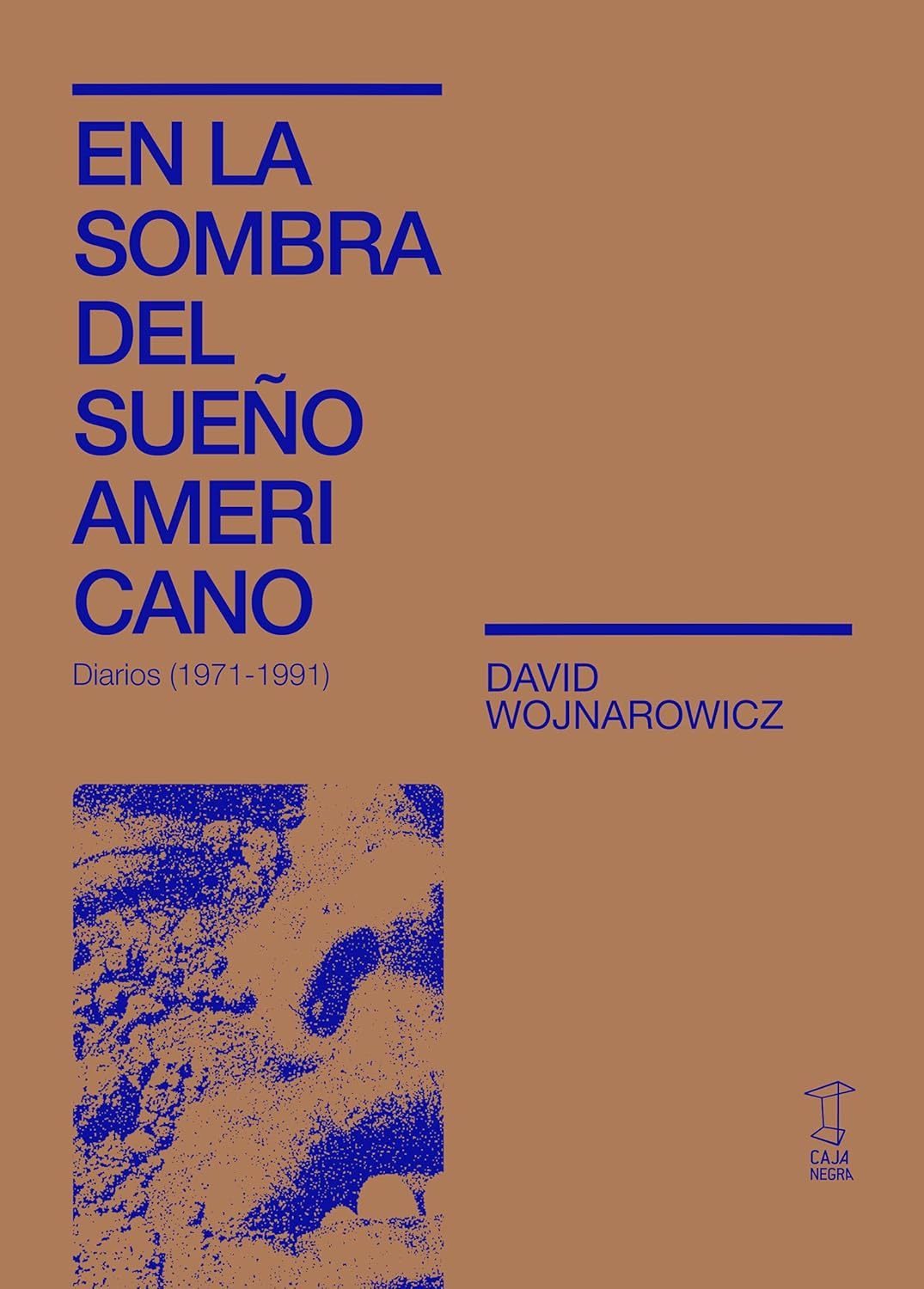 En La Sombra Del Sueño Americano. Diarios (1971-1991) - David Wojnarowicz - Plastic Books