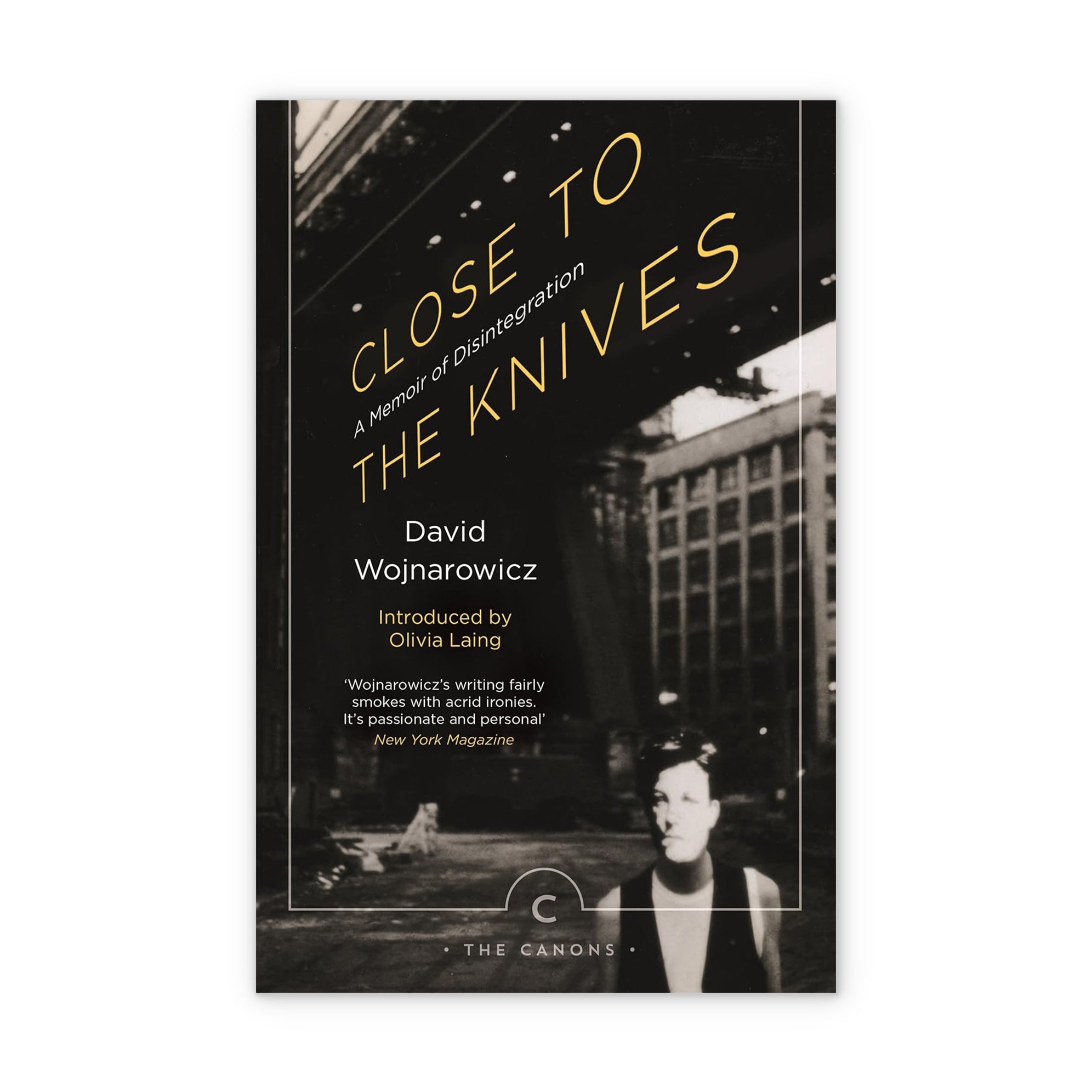 Close to the Knives: A Memoir of Disintegration (English Edition) - David Wojnarowicz