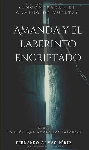 Amanda y el laberinto encriptado (AMANDA, LA NIÑA QUE AMABA LAS PALABRAS) (Spanish Edition)
