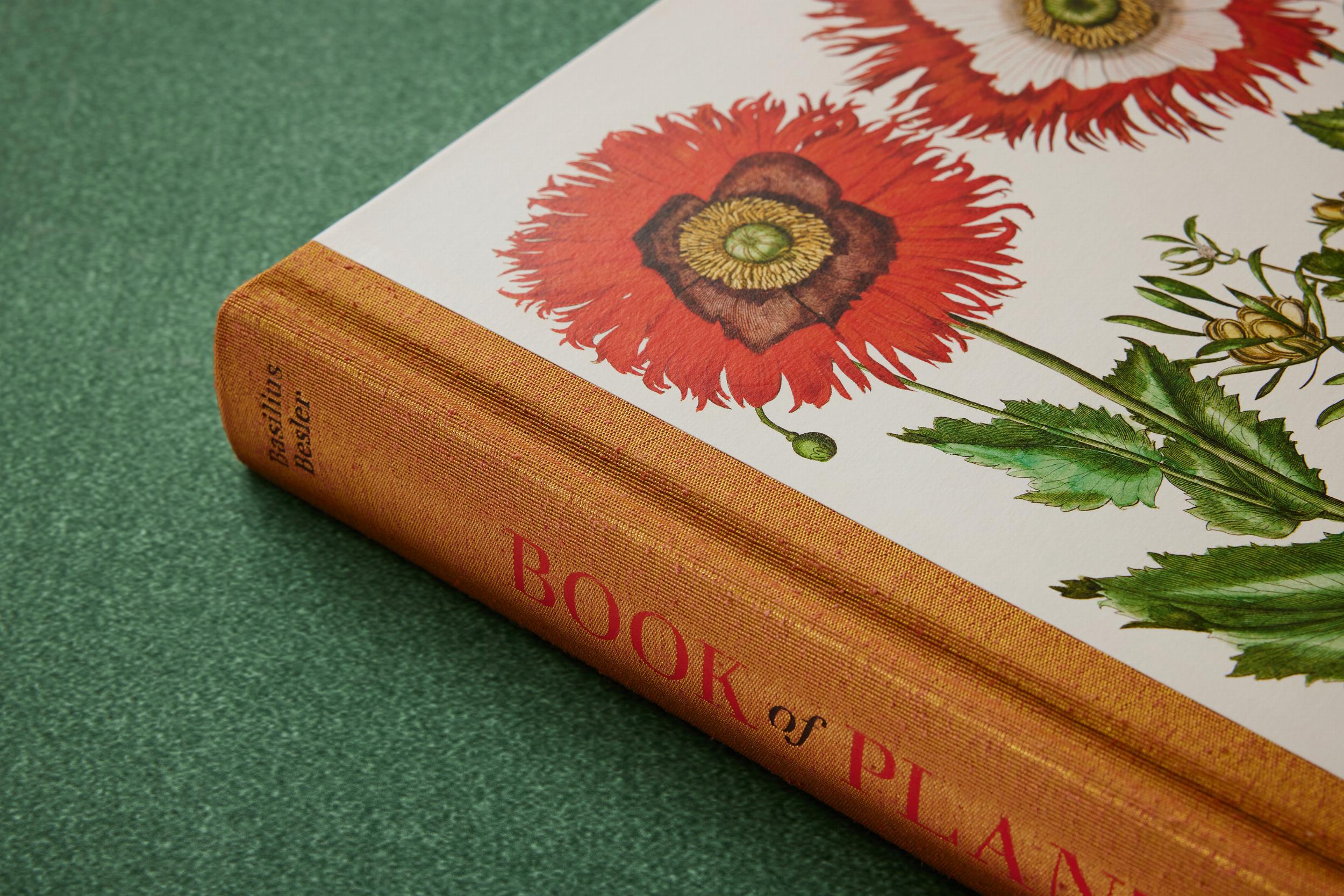 Basilius Besler. The Garden at Eichstätt – Plastic Books