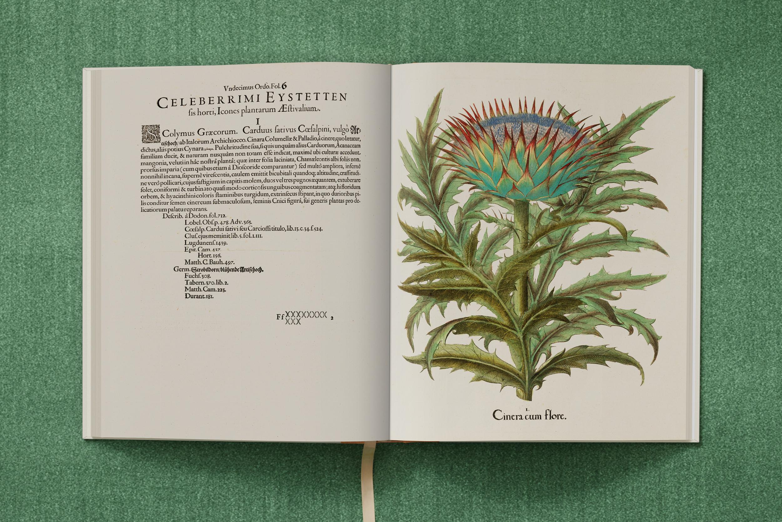 Basilius Besler. The Garden at Eichstätt – Plastic Books