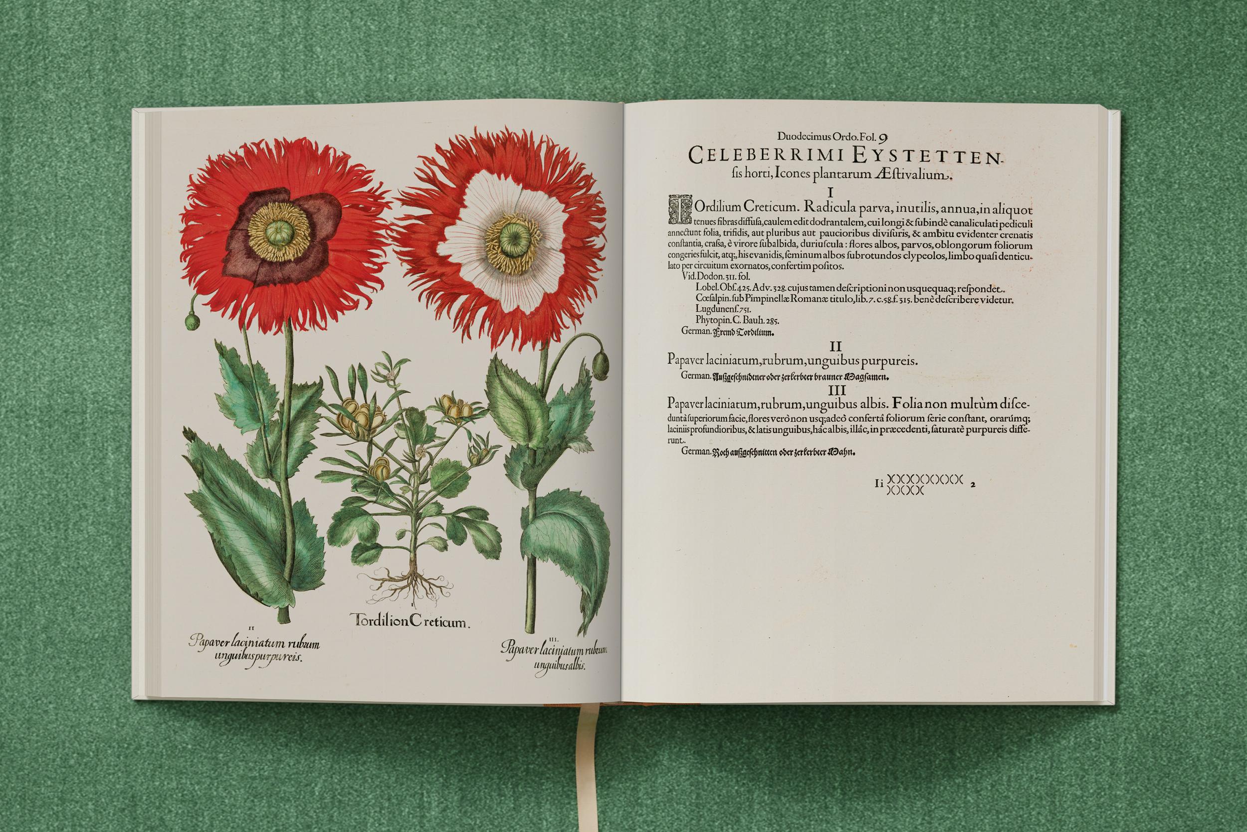 Basilius Besler. The Garden at Eichstätt – Plastic Books