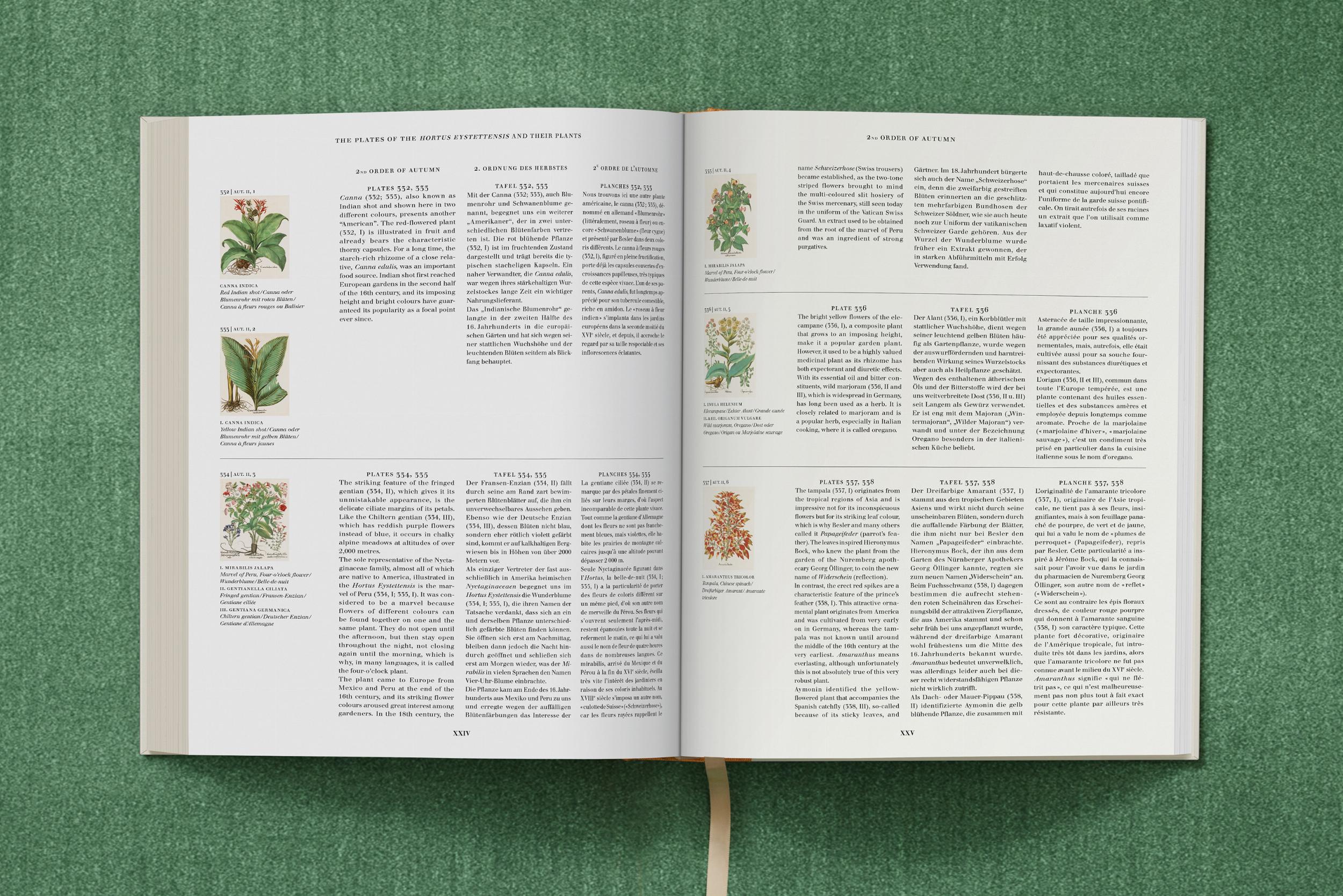 Basilius Besler. The Garden at Eichstätt – Plastic Books