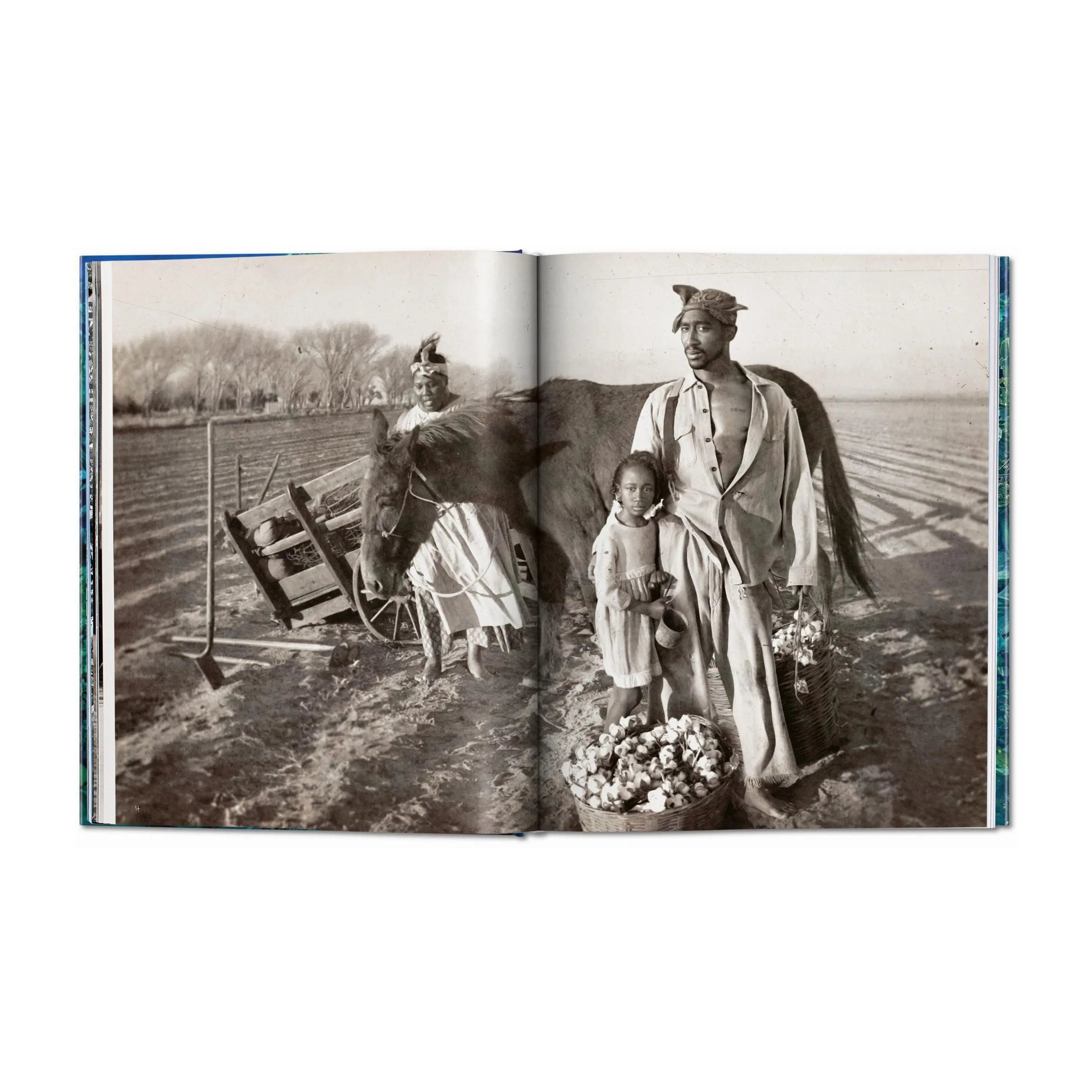 Un libro abierto muestra una foto en blanco y negro de una familia en un campo de algodón.