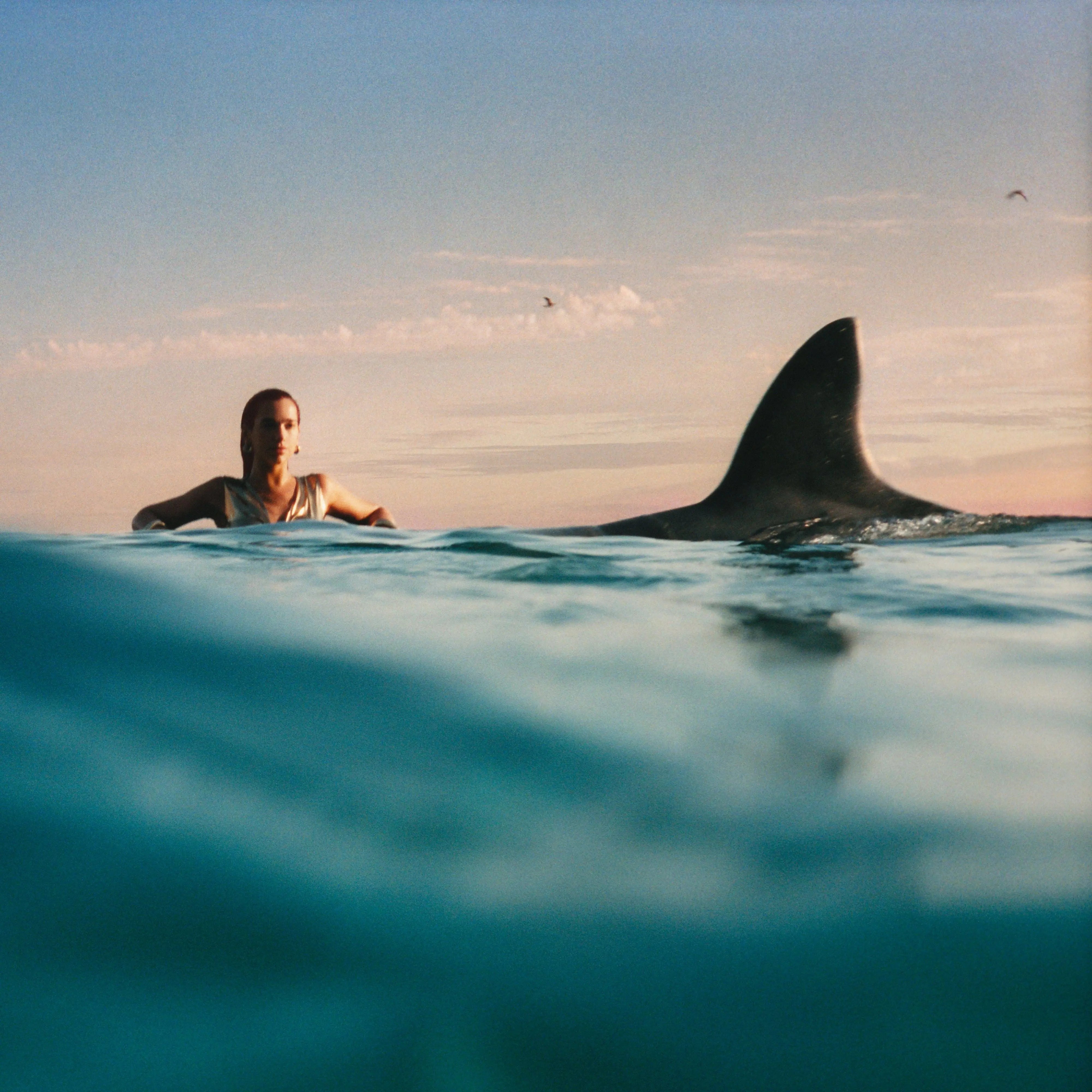 Dua Lipa en el agua con un tiburón, bajo un cielo azul claro.