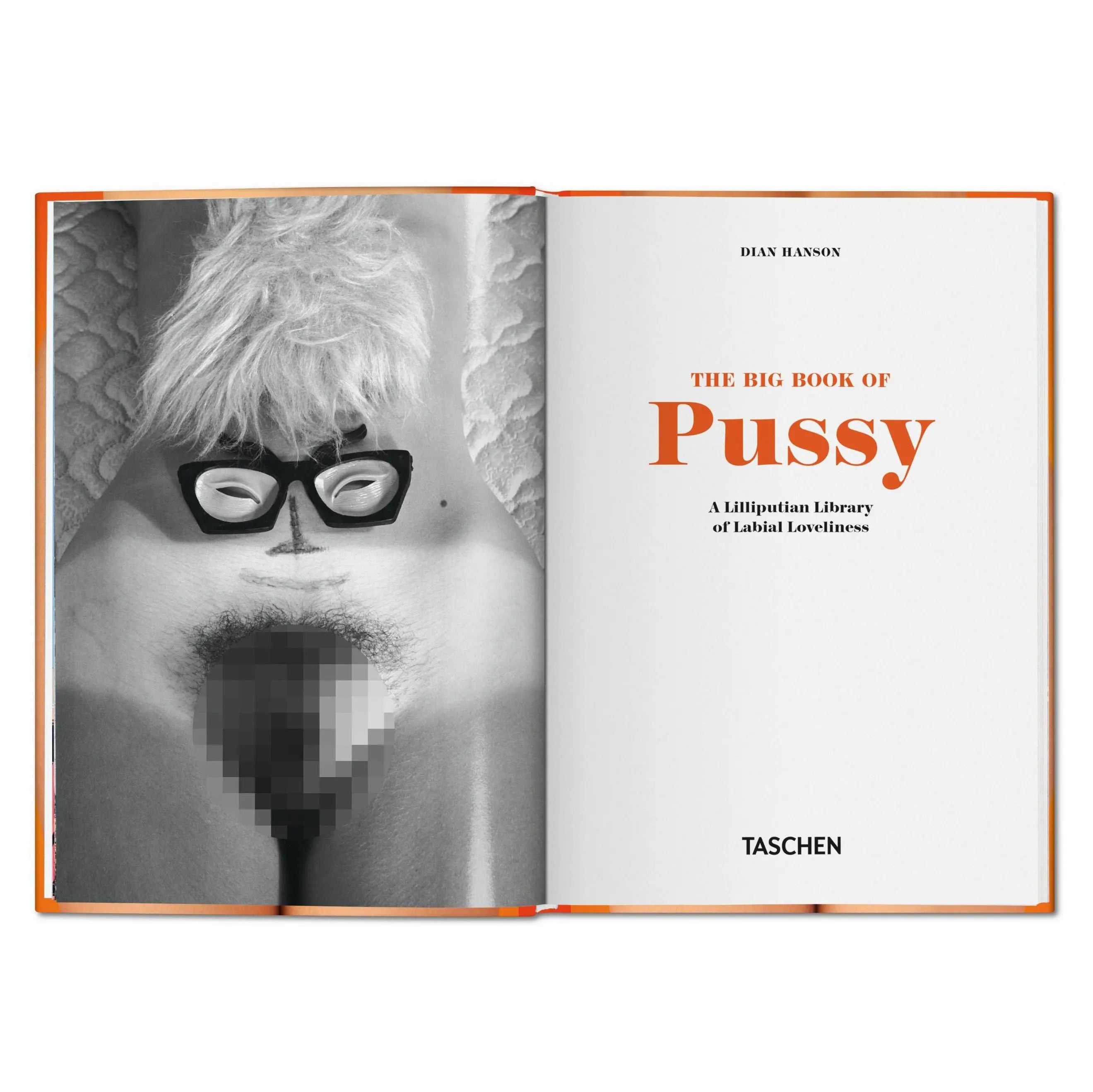 An open book titled "The Big Book of Pussy" with a censored image of a person.